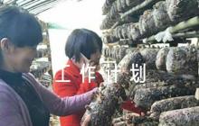 2023年村黨建工作計劃(通用6篇)