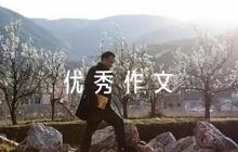 “幸福”話題作文指導(dǎo)及優(yōu)秀作文范文(精選7篇)