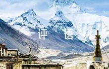 發(fā)展對(duì)象評(píng)語6篇