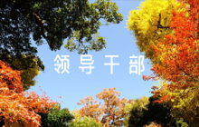 關(guān)于領(lǐng)導(dǎo)干部的政治表現(xiàn)評(píng)語【六篇】
