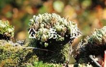 2023年度公務(wù)員考察評(píng)語范文六篇
