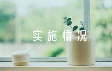黨支部上半年工作計(jì)劃實(shí)施情況自查范文(通用7篇)