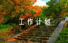 艾梅乙工作計劃【6篇】