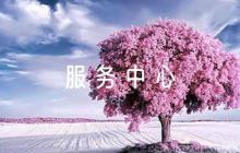 鎮(zhèn)2023年退役軍人服務(wù)中心工作計劃范文(精選6篇)