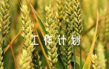 初中心理健康教育工作計劃范文六篇