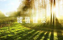 小城鎮(zhèn)建設論文300字小城鎮(zhèn)建設調(diào)查報告(通用7篇)
