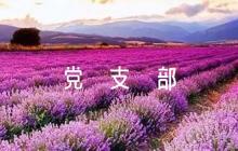 黨支部對黨員評語范文六篇