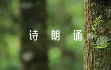 送別詩(shī)朗誦串詞范文六篇