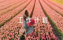 關于2023年下半年紀檢監(jiān)察工作計劃【六篇】