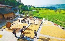 村黨支部2023年度工作計劃(通用7篇)