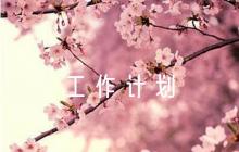 關(guān)于鄉(xiāng)鎮(zhèn)招商引資工作計劃【六篇】