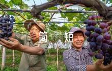 黨員培養(yǎng)人意見簡短評語范文(精選6篇)