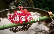 對預(yù)備黨員轉(zhuǎn)正意見簡短評語6篇