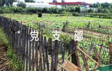黨支部意見簡短評語范文六篇