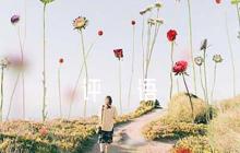 入黨談話意見評語六篇