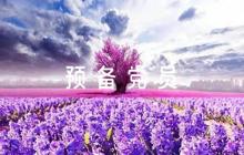 預備黨員考察情況評語【6篇】