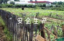 安全生產(chǎn)應急預案方案范文(通用6篇)