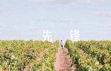 從小學(xué)先鋒長大做先鋒主題征文范文(精選6篇)