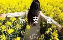 新成立黨支部工作計(jì)劃【六篇】