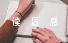 天朝的崩潰鴉片戰(zhàn)爭再研究讀后感集合7篇