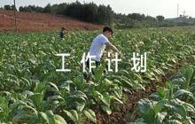 供銷社人才工作計(jì)劃6篇