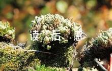 軍職平易近人讀后感集合6篇