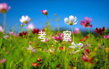 干部德能勤績(jī)廉考察評(píng)語(yǔ)范文六篇