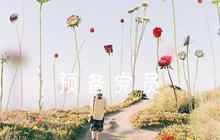入黨介紹人預(yù)備黨員意見(jiàn)簡(jiǎn)短評(píng)語(yǔ)【六篇】