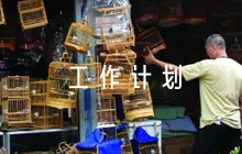 八年級歷史備課組工作計劃集合6篇
