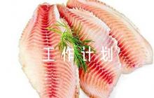 駐村任期工作計劃范文六篇