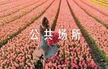 公共場所上的標語六篇