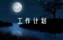 幼兒園黨建指導員工作計劃6篇