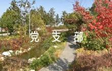 五個(gè)好黨支部自查報(bào)告范文六篇