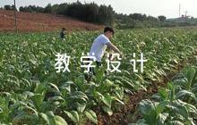 關于《花鐘》教學設計【六篇】