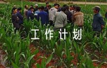 村干部導(dǎo)師幫帶月工作計(jì)劃【6篇】