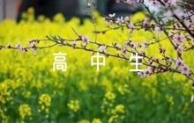 自我介紹800字高中生六篇