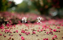 家國情懷作文800字高中作文【六篇】
