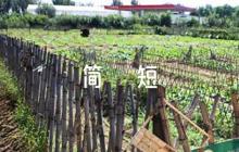 黨員發(fā)展對象意見簡短評語【6篇】