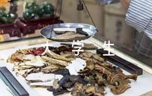 關(guān)于大學(xué)生日記隨筆生活1000字左右【六篇】