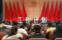關(guān)于2024年農(nóng)村黨建工作計劃【六篇】