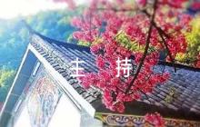最精辟的退休主持詞【6篇】