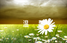 酒店前臺回復(fù)好評的溫馨話語6篇