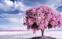 部隊(duì)使用手機(jī)檢討書(shū)6篇