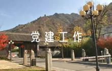 2024年村書記抓基層黨建工作述職報(bào)告六篇