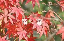 診所消防安全應急預案范文六篇