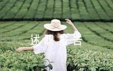 2024年紀檢委員述職報告【6篇】