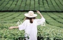 一體推進(jìn)不敢腐不能腐不想腐心得體會(huì)范文六篇