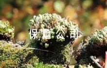 保險公司按時出勤的口號范文(精選9篇)