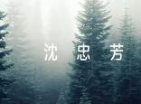沈忠芳作文素材【三篇】