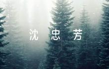 沈忠芳作文素材【三篇】